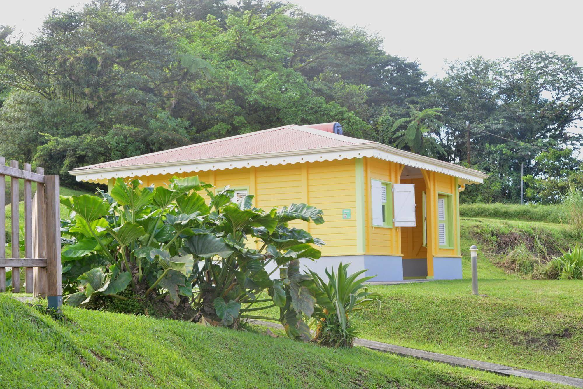 Auberge De La Montagne Pelee Hotel Saint-Pierre Ngoại thất bức ảnh