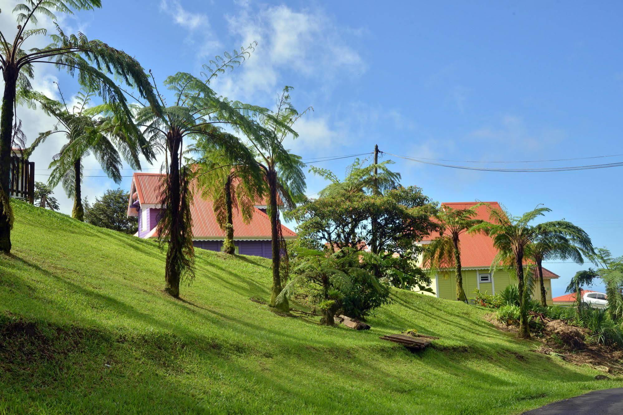 Auberge De La Montagne Pelee Hotel Saint-Pierre Ngoại thất bức ảnh