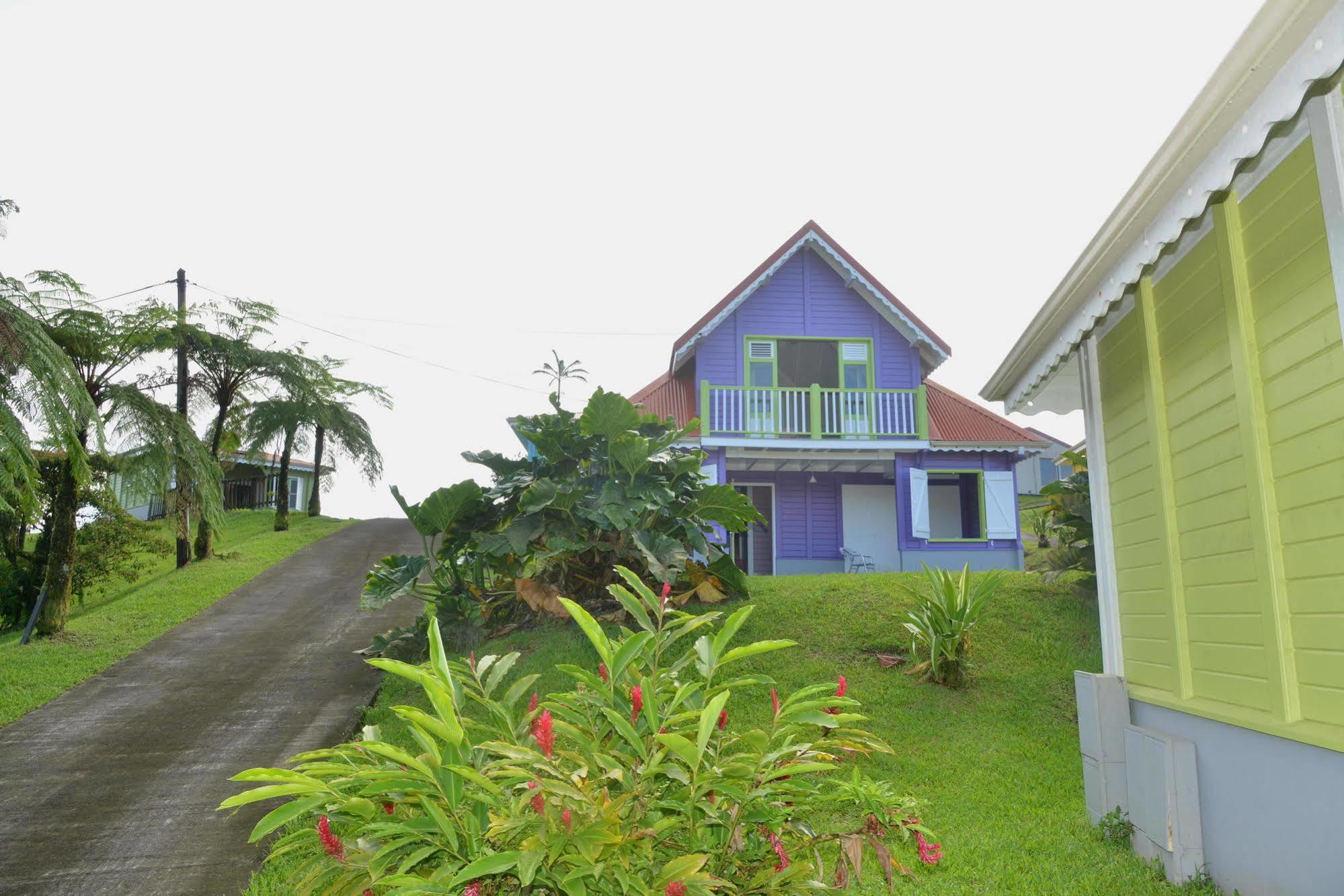Auberge De La Montagne Pelee Hotel Saint-Pierre Ngoại thất bức ảnh